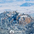 내포 검도 이미지