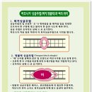 13. 싱글주법(퍼커, 텅블럭) 과 혀의 위치 이미지