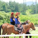 리오파크 이미지