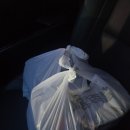 마왕족발대구감삼역점 이미지