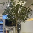 강남뷰베스트의원 네이버블로그
