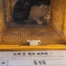 노산동물병원 이미지