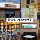 제주 동쪽 독립서점 종달리 소심한 책방 재방문 후기