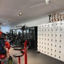 아나토미 스트랭스 이미지