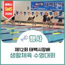 12 | 제12회 태백시장배 생활체육 수영대회 생생 후기!