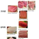 참치일번지 이미지
