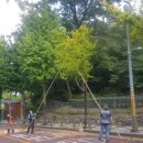 기동반-52 이미지