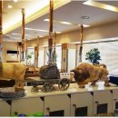 한우천국늑대장어 이미지