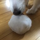 우리들의 이야기 | 하얀 눈이 내리던 날의 우리들의 이야기❄️