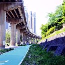 부산과학관 공원 이미지