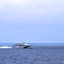 독도앞바다 이미지