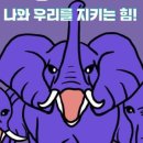 피프티핏