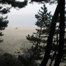 섬마을2 이미지