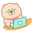 퍼피스프링 부천점 이미지