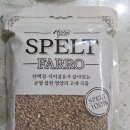 곡물이네 | 고단백고대곡물 힐데스그레인스펠트 후기