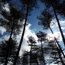 미리내농장 이미지