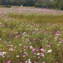 호동골공원 이미지