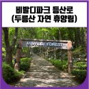 비발디파크 등산로 (두릉산 자연 휴양림)