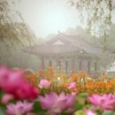 월은농장 이미지