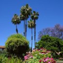 보사노인복지센터 이미지