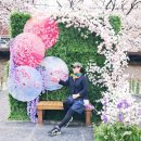 11500-16-04-03 | [2026-04-03/금] 울산대 맛집 맨날국수에서 배말칼국수 혼밥 후기(ft.무거천 벚꽃)