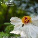 문해력 쑥쑥 독서놀이 이미지