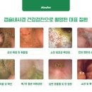 도촌 동물병원 이미지