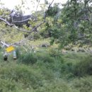 자두나무농장 이미지