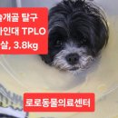 로로동물의료센터 이미지