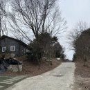 #C16. 겨울에서 봄으로 가는 길을 발할과 함께(in 양주천보웰니스캠핑장)
