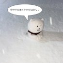 금원삼계탕 | 12월, 2와 3