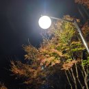 부산시립정신병원 이미지