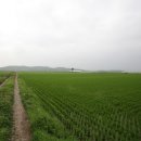 구룡천제방 이미지