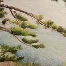 바다와소나무 이미지