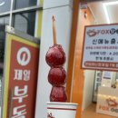 폭스탕후루