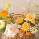 도봉-쌍문-도봉-1531 이미지