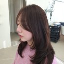 다음 | 동래미용실 손다음헤어 후기｜동래역미용실 레이어드컷·레이어드C컬펌 만족 리뷰