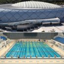 박태환수영장 이미지