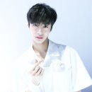 와이틴