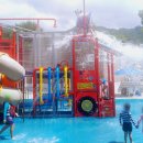 천동물놀이장 이미지