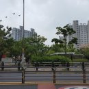 세인트폴어린이집 이미지