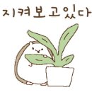오늘모해요