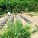 오봉농장 이미지