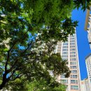 구월4동-10 이미지