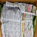 신진2농장 이미지