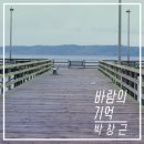 박창근 카카오 검색결과