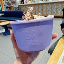 배스킨라빈스궐동점