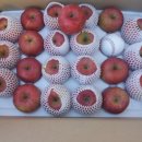 경태 농장 이미지