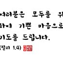 필리필리 이미지