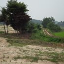 장호원읍-01 이미지